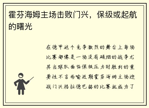 霍芬海姆主场击败门兴，保级或起航的曙光
