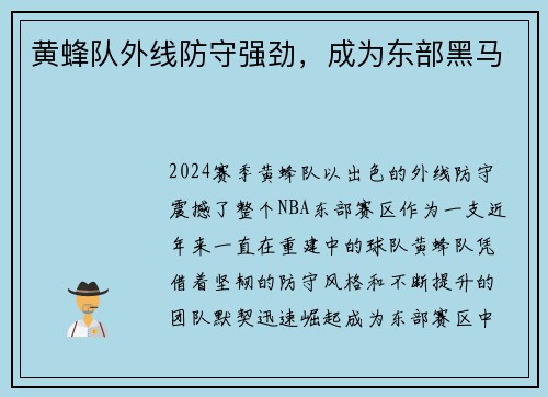 黄蜂队外线防守强劲，成为东部黑马