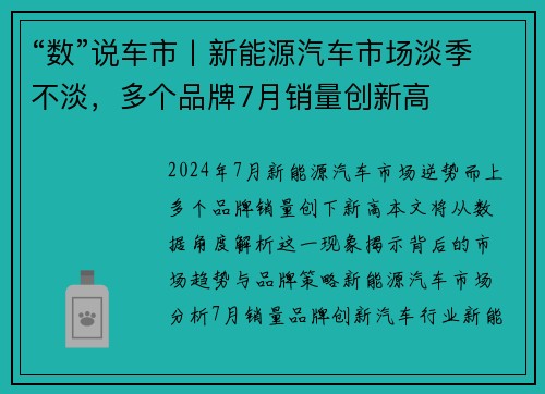 “数”说车市丨新能源汽车市场淡季不淡，多个品牌7月销量创新高